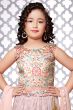 Pale Pink Printed Georgette Lehenga Set