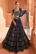 Black Cut Dana Embroidered Velvet Panelled Style Lehenga