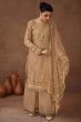 Dark Beige Embroidered Organza Suit Set