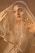 Dark Beige Embroidered Organza Suit Set