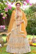 Orange Net Embroidered Lehanga Choli