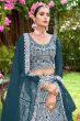 Blue Net Embroidered Lehanga Choli