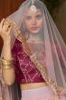 Baby Pink Embroidered Flared Net Lehenga