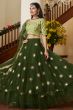 Army Green Embroidered Flared Net Lehenga