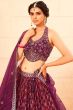 Maroon Sequins Embroidered Georgette Lehenga