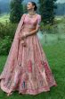 Light Pink Embroidered Silk Panelled Lehenga