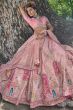 Light Pink Embroidered Silk Panelled Lehenga