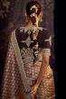 Chocolate Brown Embroidered Fancy Fabric Silk Saree